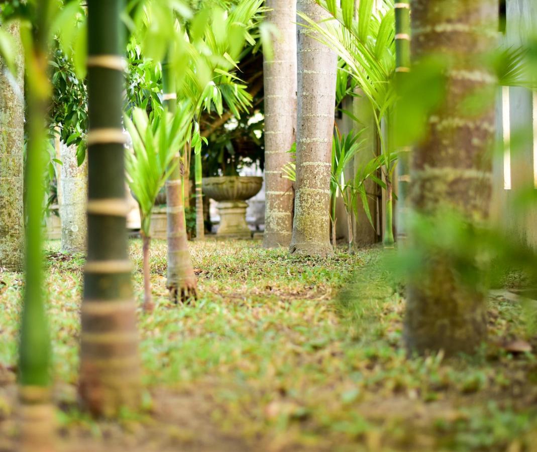 Chiang Mai Heritage House Buitenkant foto